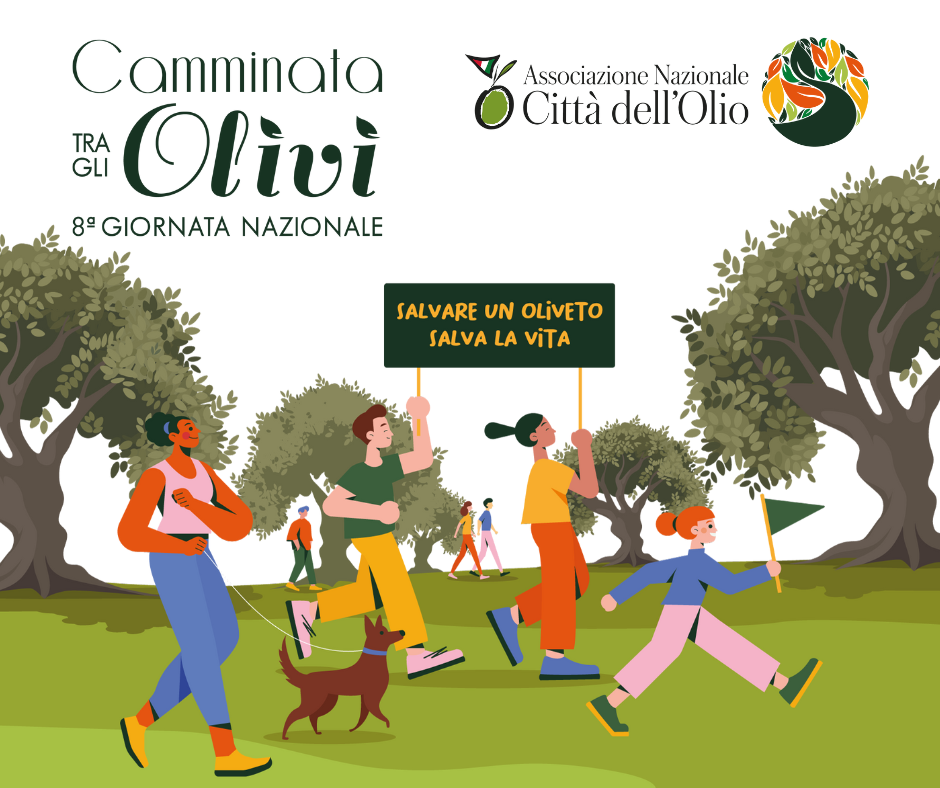 Trekking, visite in azienda e degustazioni di olio. Per la prima volta “Camminata tra gli Olivi” a Poggibonsi