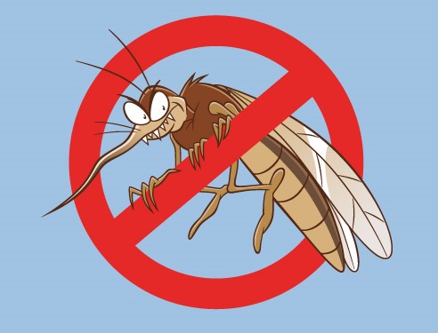 Campagna di prevenzione della Regione Toscana contro le zanzare